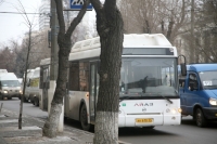 В Волгограде из автобуса «Питеравто» пассажирка выпала на дорогу