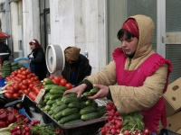 Турецкие томаты планируют попасть на российский рынок в декабре