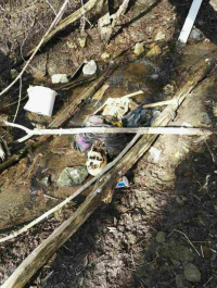 В Волгограде в пойме реки Царица волонтеры нашли человеческий скелет