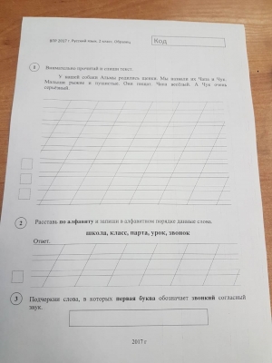 Второклашки завтра напишут Всероссийские проверочные работы по русскому языку