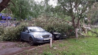 В Самаре ураганный ветер валит деревья