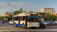 Волгоградцы просят Бочарова не закрывать троллейбусные маршруты