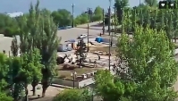 В Красноармейском районе Волгограда ради сухого фонтана срубили многолетние ели  