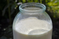 Роспотребнадзор выявил 4% фальсифицированного молока