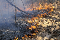 МЧС Волгоградской области предупреждает о чрезвычайной пожароопасности