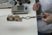 Волгоградские ученые изобретают стройматериалы из шелухи семечек и камыша