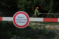 В Волгоградской области до середины сентября продлили запрет на посещение лесов