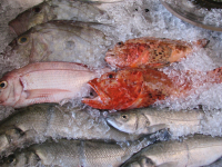 Волгоградцы вынуждены покупать рыбу и креветки в довесок со льдом