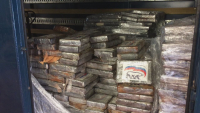 В порту Бельгии изъяли 2 тонны кокаина в брикетах с логотипом «Единой России»