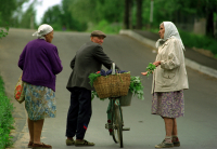 В России окончательно утвердили новую пенсионную реформу