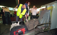 В России предлагают перестать досматривать багаж трансферных пассажиров