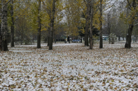 К концу недели в Волгоград может прийти первый снег