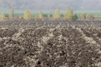 Фермера в Волгоградской области оштрафовали за заброшенный участок земли