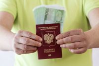 Перевод россиян на электронные паспорта оценили в 114 миллиардов рублей