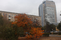 Самыми «деловыми» в Волгограде оказались Центральный и Дзержинский районы