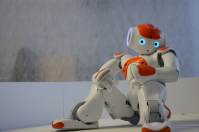 Волгоградская «Горьковка» проведет фестиваль робототехники