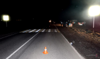 Жители посёлка Учхоз требуют сделать освещение на печально известной дороге