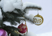 В Волгограде опубликовали программу мероприятий к Новому году 