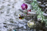 В МЧС Волгоградской области напомнили, как безопасно украсить елку