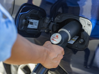 После «Прямой линии» в УФАС пообещали остановить рост цен на бензин