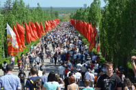 В Волгограде на Мамаевом Кургане выпилят аллею тополей
