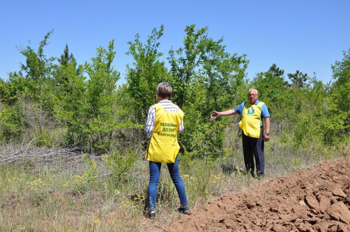 	Волгоградские экологи: в Красноармейском районе погибают деревья