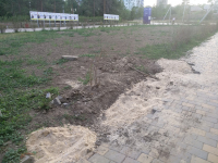 «Власти Волгограда нанесли ущерб зеленой зоне больший, чем Отечественная война» - коротко о наболевшем