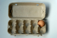 В РФ из-за девятка яиц предлагают ввести четкую систему стандартов фасовки
