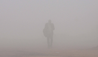 «Вор в тумане»: невероятная история ограбления в Быковском районе
