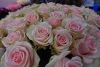 Пьяный романтик из Волгограда украл букет роз для своей возлюбленной