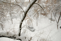 Синоптики опубликовали прогноз погоды в Волгоградской области на конец января 