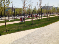 В Волгограде пьяный молодчик разгромил парк у Мамаева Кургана