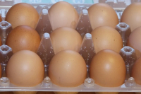 В Волгоградской области зарегистрировали снижение цен на куриное яйцо