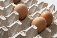 Птицефабрика объяснила, как на магазинных полках появился «девяток» яиц