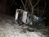 В Волгоградской области водитель скончался, врезавшись в дерево