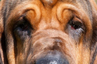 0e75fad1cb996e0a6e1c5a6fcf8737a3