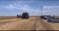 «Кто посеет, тот и пожнет?»: Урожай волгоградских фермеров убирают неизвестные