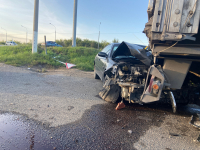 IMG 20232 800x600