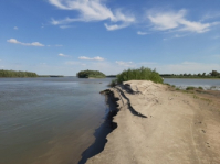 IMG 6191 418x320