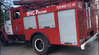 По неизвестным причинам в Волгоградской области сгорели два КАМАЗа