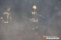 Источник: площадь пожара в Сосновом бору достигла 40 ГА
