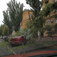 Упавшее дерево на улице Советской