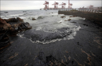 oil spill in dalian 10