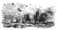pic21