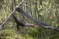 фото: Global Look Press