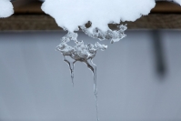 фото: Global Look Press