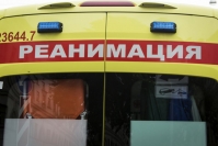 фото: Global Look Press