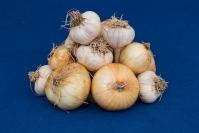 фото: Global Look Press