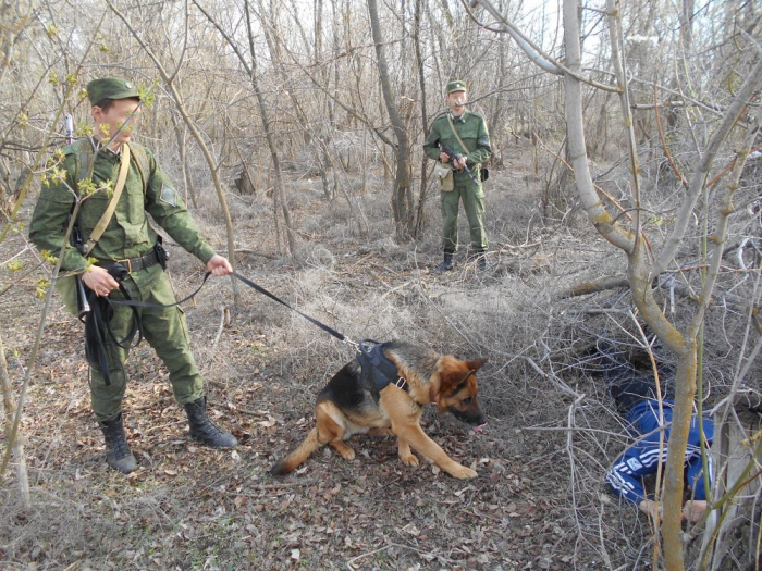 фото: пресс-служба Пограничного управление ФСБ по Волгоградской области