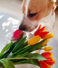 ФОТО: Интернет-газета "Кривое-зеркало"